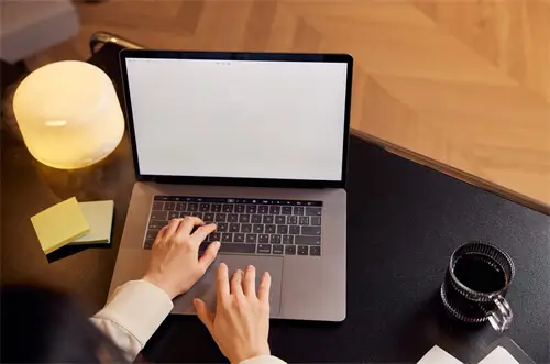 金岛苑美食攻略